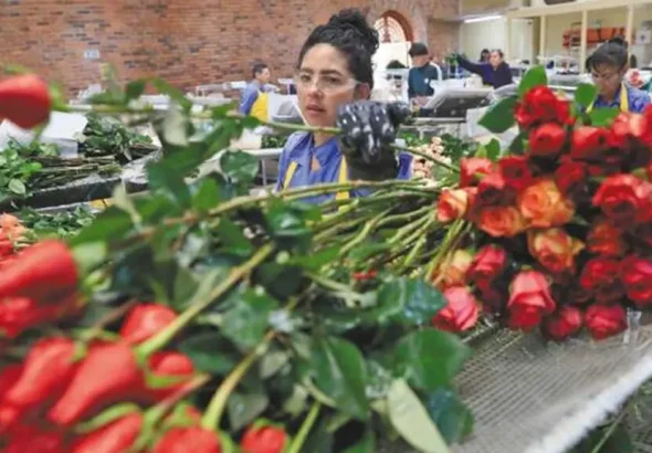 Colombian flowers. Photo: X/ @elespectador.