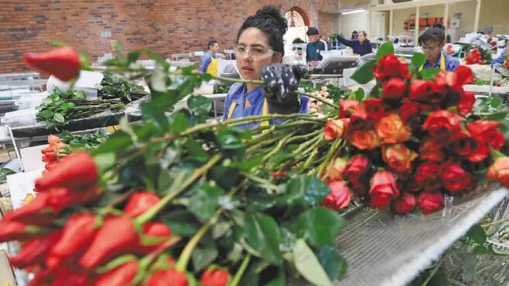 Colombian flowers. Photo: X/ @elespectador.