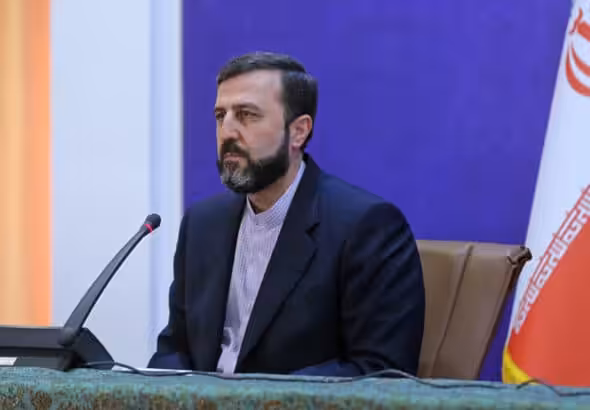 Iran’s deputy foreign minister for legal and international affairs Kazem Gharibabadi. Photo: PressTV/file photo.