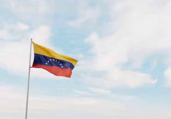 Venezuelan Flag. Photo: Planet Volumes.