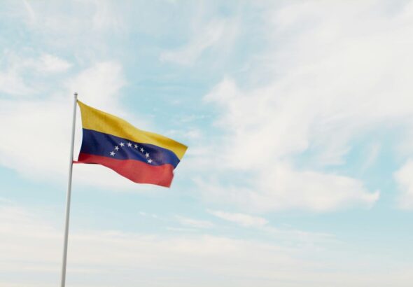 Venezuelan Flag. Photo: Planet Volumes.
