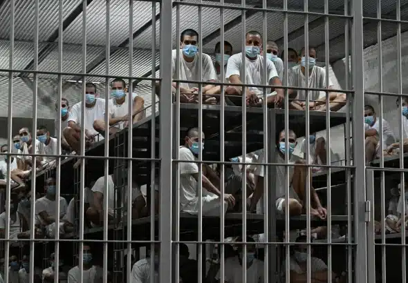 People imprisoned in a CECOT prison cell in El Salvador. Photo: Marvin Recinos/AFP.