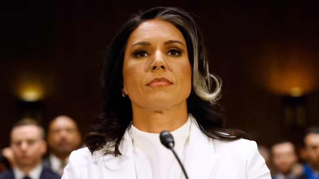 US Director of National Intelligence Tulsi Gabbard. Photo: Kevin Dietsch/Getty Images.