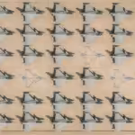 The missing Rafales. Photo: Social media.