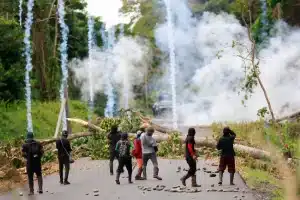 Protesters block a road with a tree trunk while police throw tear gas at them in Bocas del Toro province, Panama. Photo: EFE.