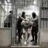 Guards push a prisoner into a cell in the CECOT maximum-security prison, El Salvador. Photo: Getty Images.