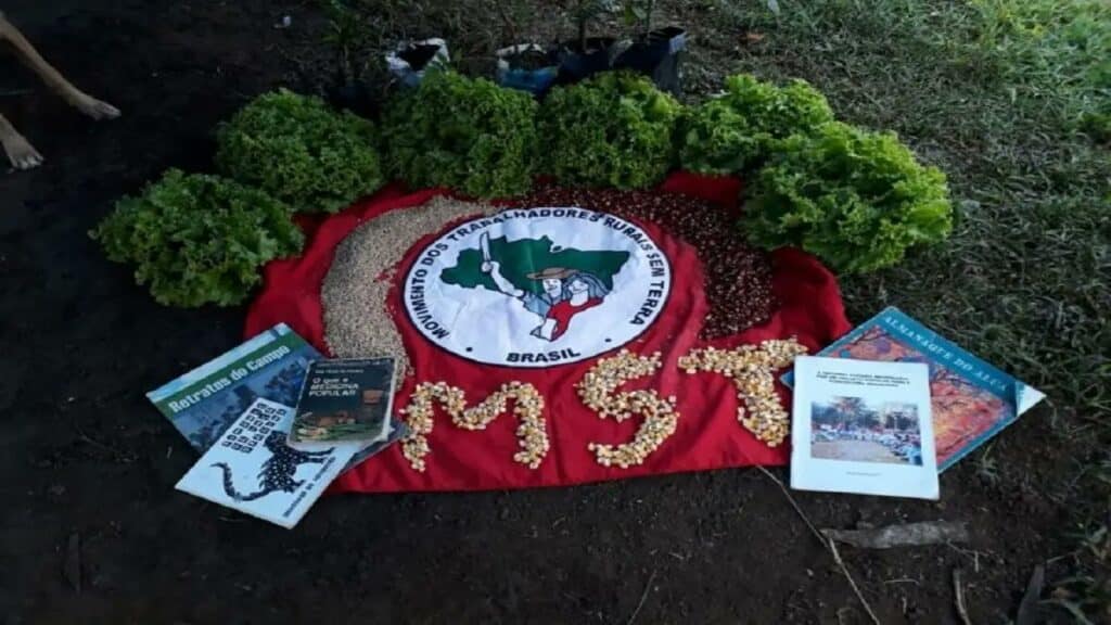 MST flag on a field next to books. Photo: MST.