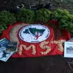 MST flag on a field next to books. Photo: MST.