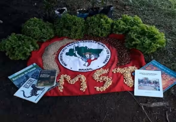 MST flag on a field next to books. Photo: MST.