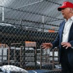 President Donald Trump tours a immigration jail, dubbed "Alligator Alcatraz," located at the site of the Dade-Collier Training and Transition Airport in Ochopee, Florida, on July 1, 2025. Photo: Andrew Caballero-Reynolds/AFP.