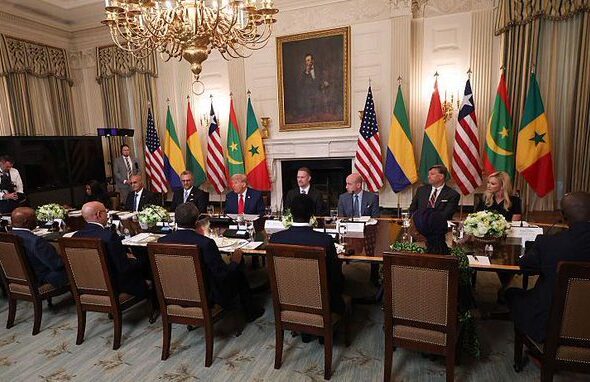 US President Donald Trump at a meeting with African Leaders in the White House, Washington, DC, July 9, 2025. Photo: Win McNamee/Getty Images.