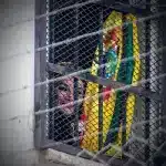 Former Bolivian dictator Jeanine Áñez holds a Bolivian flag from a window on Monday, August 25, at the Miraflores Women's Orientation Center in La Paz, Bolivia. Photo: Gabriel Márquez/EFE.