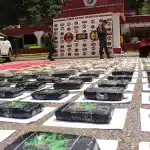 File photo in which Venezuelan authorities show material seized in anti-drug operations. Photo: Johnny Parr/EFE.