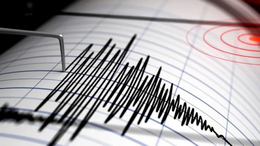 A seismograph recording seismic waves, which indicates an earthquake. Photo: File photo.