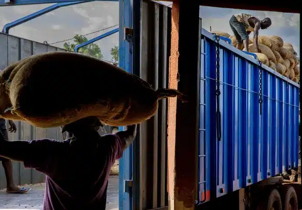 Loading up sacks of cocoa for export from San-Pédro, Ivory Coast. Photo: Pascal Maitre/Panos.