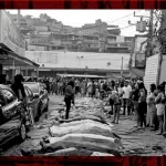 PHOTO-2025-10-29-11-47-32