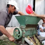 Co-op member Eleuterio Rios processing organic coffee by hand El Porvenir. Photo: Their Bucks Coffee.