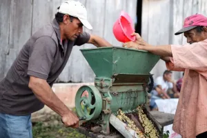 Co-op member Eleuterio Rios processing organic coffee by hand El Porvenir. Photo: Their Bucks Coffee.