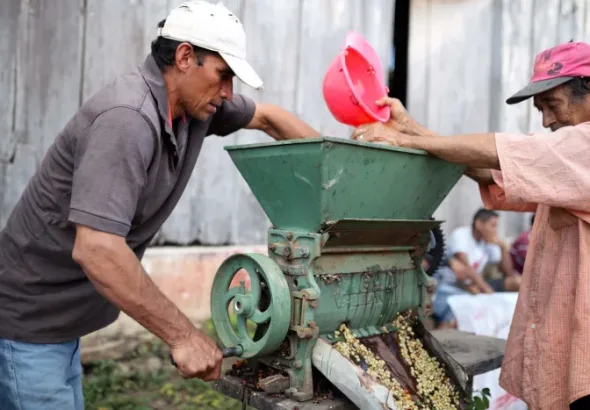 Co-op member Eleuterio Rios processing organic coffee by hand El Porvenir. Photo: Their Bucks Coffee.