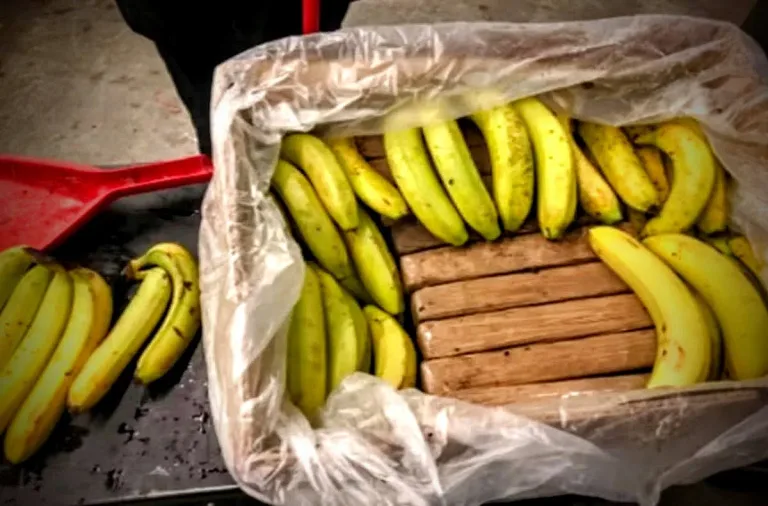 Cocaine hidden in a banana box seized in the United Kingdom in 2021. Photo: The Independent/file photo.