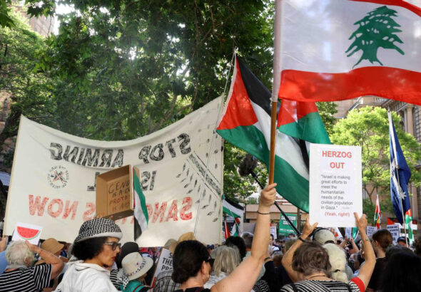 People carry flags of Palestine and Lebanon at a pro-Palestine march. File photo.