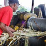 Cumanacoa commune member works on molasses production. Photo: Últimas Noticias.