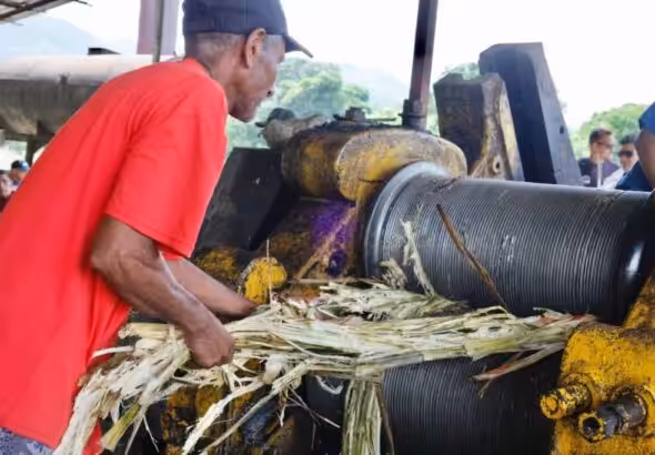 Cumanacoa commune member works on molasses production. Photo: Últimas Noticias.
