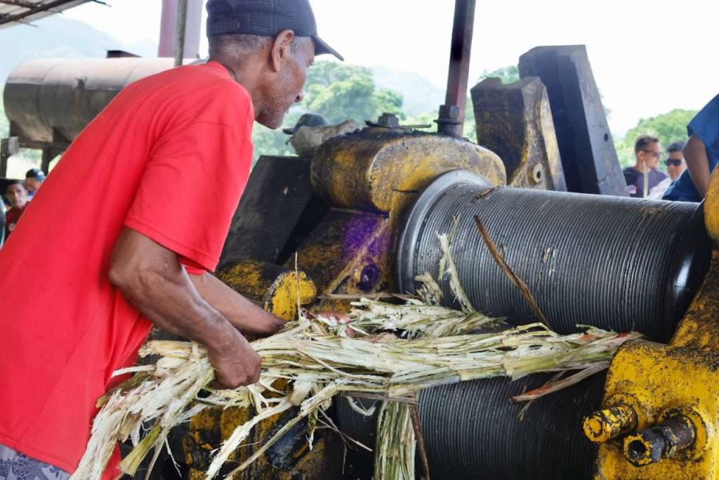 Cumanacoa commune member works on molasses production. Photo: Últimas Noticias.