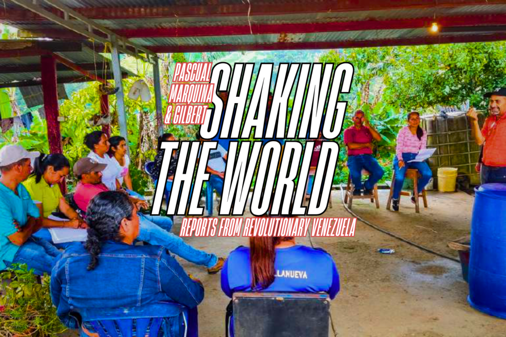 mronline-vida-cafe-III-1024x683