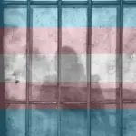 A shadow of a person behind bars in a jail cell. Photo: Ye Jinghan/Unsplash.