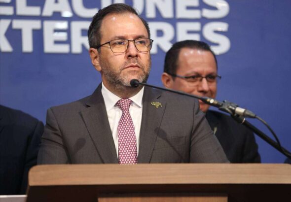 Foreign Minister Yván Gil addressing the international community. Photo: MPPRE.