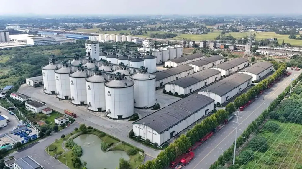 A Chinese grain storage facility operated by Sinograin, in Chengdu in 2025. Photo: Xinhua.
