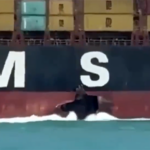 This screengrab reportedly shows a hole in the MSC Sariska caused by the Iranian retaliatory strike. Photo: PressTV/File photo.