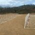 Burial site for earthquake victims set up in La Guaira state, Venezuela. Photo: Diario VEA.