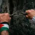 Two hands, one engulfed with the Palestinian flag and the other a keffiyeh, breaking the chains (of colonialism). Illustration: Al Mayadeen Español.