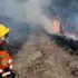 Firefighters and members of the Bolivian Army combat the hotspots in the rural areas of San Lorenzo, Tarija. Photo EFE.