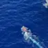 A screenshot from a video obtained by the Global Times on July 21, 2026 shows the transfer of injured Philippine personnel near Ren'ai Jiao, which was overseen and assisted by the China Coast Guard. Photo: Courtesy of the China Coast Guard.