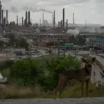 View of the El Palito refinery, owned by the Venezuelan state oil company PDVSA, from the El Faro district in Carabobo state. Photo: Jesus Vargas/picture alliance/Getty Images.