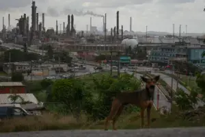 View of the El Palito refinery, owned by the Venezuelan state oil company PDVSA, from the El Faro district in Carabobo state. Photo: Jesus Vargas/picture alliance/Getty Images.